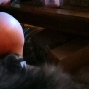 UGG Lynnea Wood Clog Amputee Boot